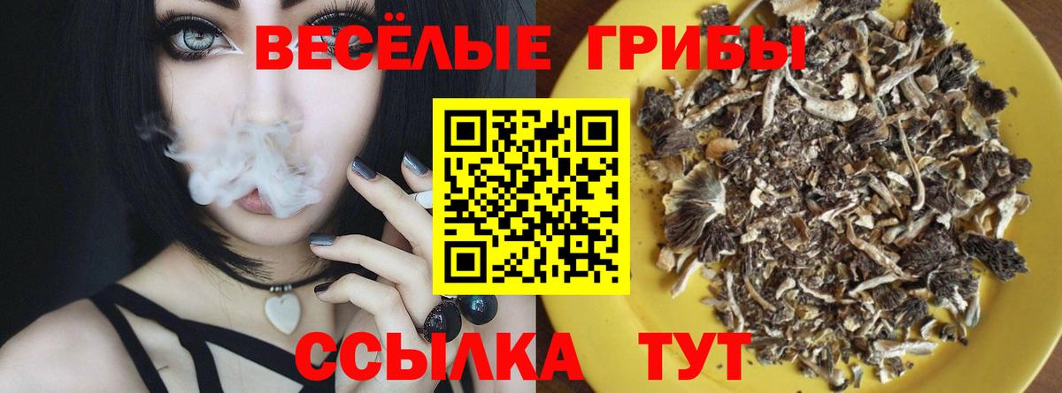 Псилоцибиновые грибы Psilocybine cubensis Благодарный