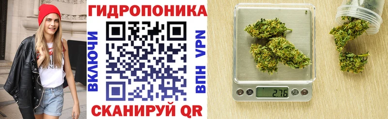 Каннабис марихуана Благодарный